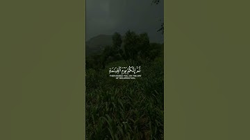إنك ميت وإنهم ميتون /سورة الزمر |الشيخ ياسر الدوسري