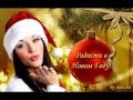 Мария Берсенева. Новый Год 2012.wmv