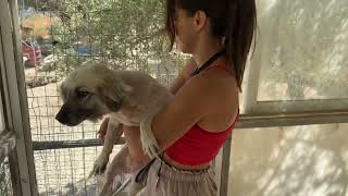 She Spent Just One Night Away... and Couldn't Wait to See Her Family Again! 🥹❤️ - Takis Shelter