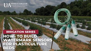 HowTo Build Watermark Sensors for Plasticulture Beds