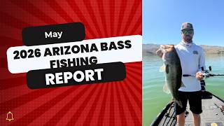 Arizona Bass Fishing Report May 2026