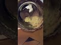 Always check your exhaust system!