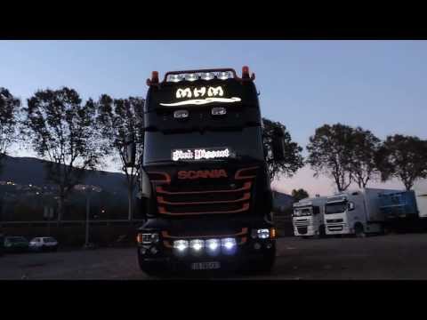 Scania r730 v8 transport Mhm Services