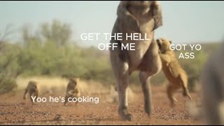 If Animals In Prehistoric Planet Ice Age Had Subles 3 Part 1