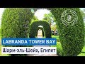 Полный обзор и территория отеля Labranda Tower Bay (ex.Sharm Club) 4* | Шарм-эль-Шейх, Египет