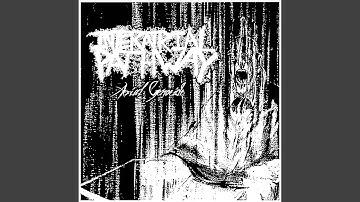 The Chambers That Move Towards My Emotion