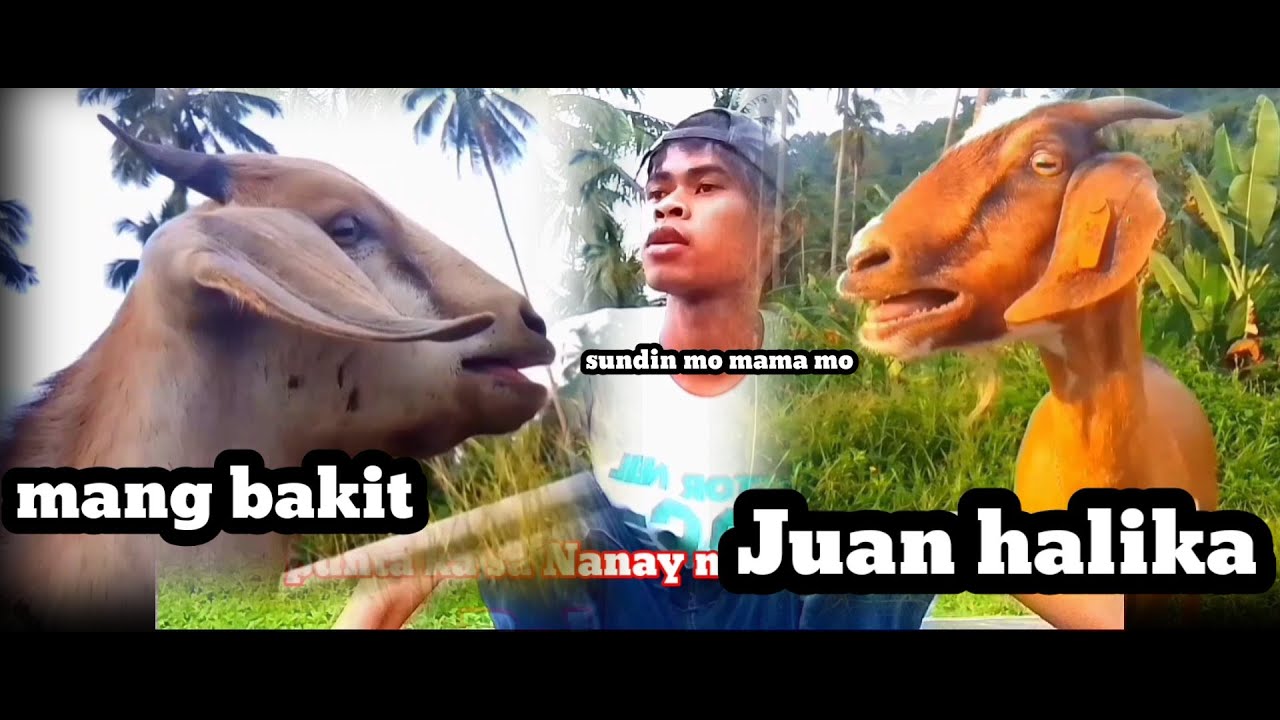 Makinig ka sa mama mo TIBOLI languages
