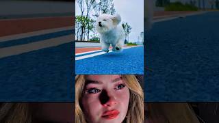 From Strong to Slow, Still My Brave Hero 🥺♥️🐶🫶 #youtubeshorts #doglife #shorts