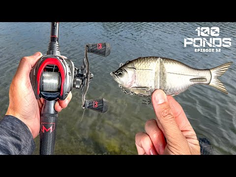 Throwing a SWIMBAIT Saved My Fishing Day! (100 Ponds Ep. 33) 