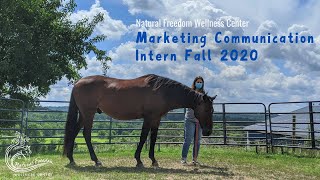 Marketing Communication Intern Fall 2020