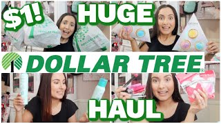 HUGE Dollar Tree Haul! I hit the NAME BRAND JACKPOT!!! MUST SEE!