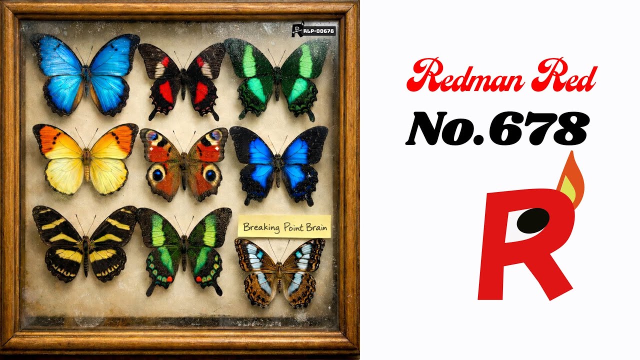 Breaking Point Brain ( Original Song )