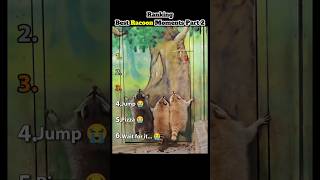 Ranking best RACOON moments Part 2