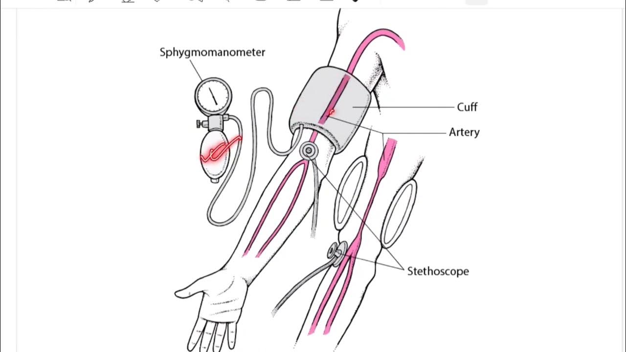 измерение давления цифровым прибором Map