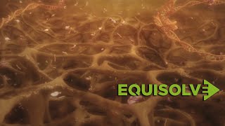 Medical Scientific Animation Medical Moa Video Production - Equisolve