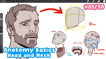 how to DRAW the head and neck! (Basic to Advanced) | Full Drawing Tutorial - Art Bootcamp #01/30