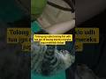 Tolong yg suka pelihara kucing klo udh tua jgn di buang kasian mereka juga makhluk hidup #cat #fypシ
