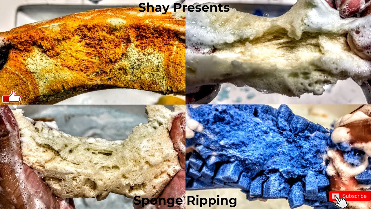 💜R.I.P to All my WELL used Sponges❤️ (ASMR Sponge Ripping)