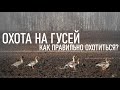 💥 ОХОТА НА ГУСЕЙ ПОДРОБНО