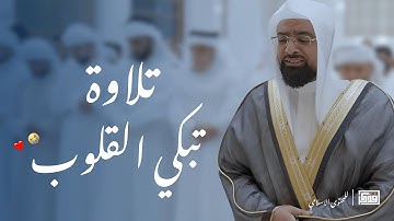 تلاوات رائعه للشيخ ناصر القطامي 🤍🕊️