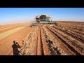 Harvesting rocks