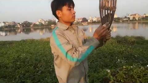 Săn Chuột Đồng Tại Hà Nội Và Món Chuột Giả Cầy, Chuột Luộc - Săn Bắt Miền Bắc