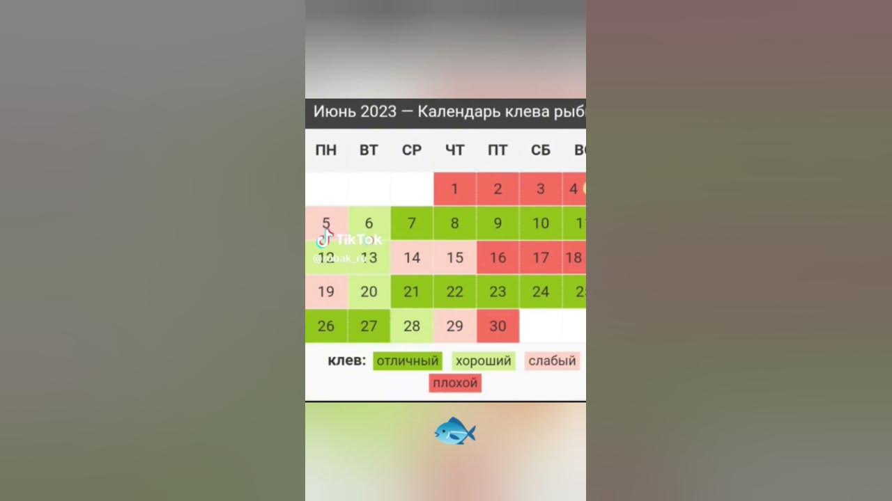 Рыбный календарь. Прогноз клева май. Календарь рыбака на июль 2022. Календарь клева на томи кемерово. Календарь клева на томи кемерово.
