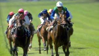 The Irish Derby The Very Best Winners from 1967 to 2016 Thanks for The Memories HRL.