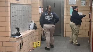 Search for suspect who sexually assaulted girl in NYCHA complex in Brooklyn