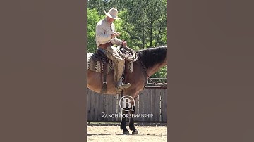 The fundamentals of neck reining.
