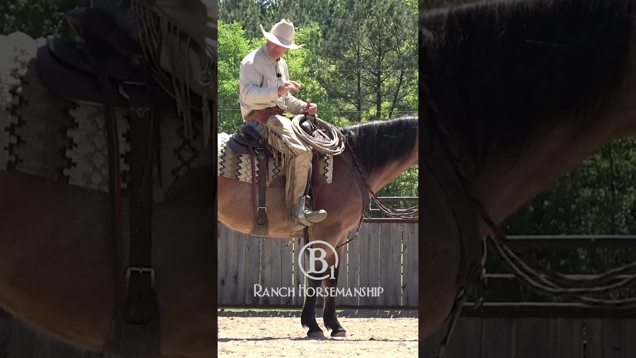 The fundamentals of neck reining.