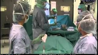 Artificial organs. Bionics