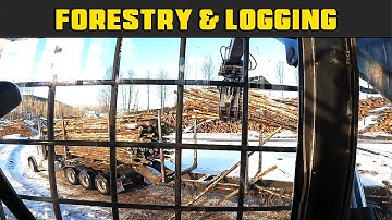 FDR Unloads Crappy Rat Tail Logs Madill 2800 Loader - Real Life Forestry & Logging - FDR Logging