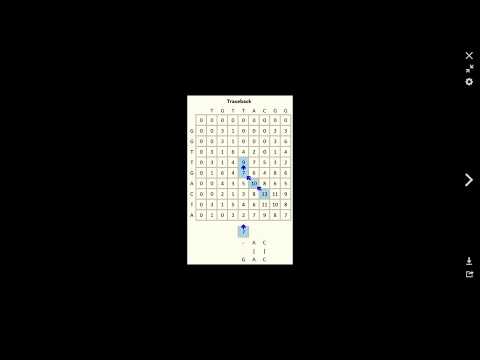 Algorithm Needleman-Wunsch