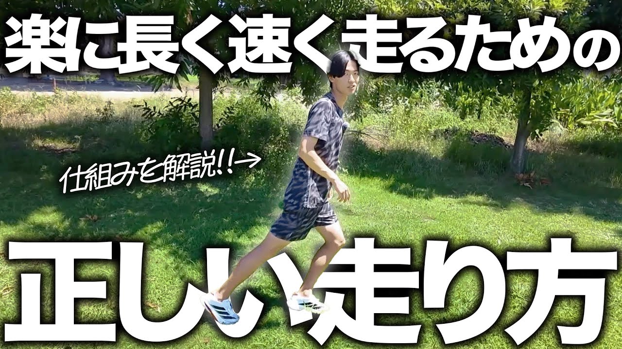 楽に長く速く走る方法の仕組みを解説します！！
