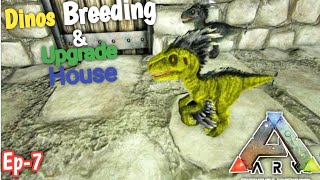 Breeding Dinos | Upgrade Stone Base || Ark Servival Evolved Mobile || Ep-7 || Hindi