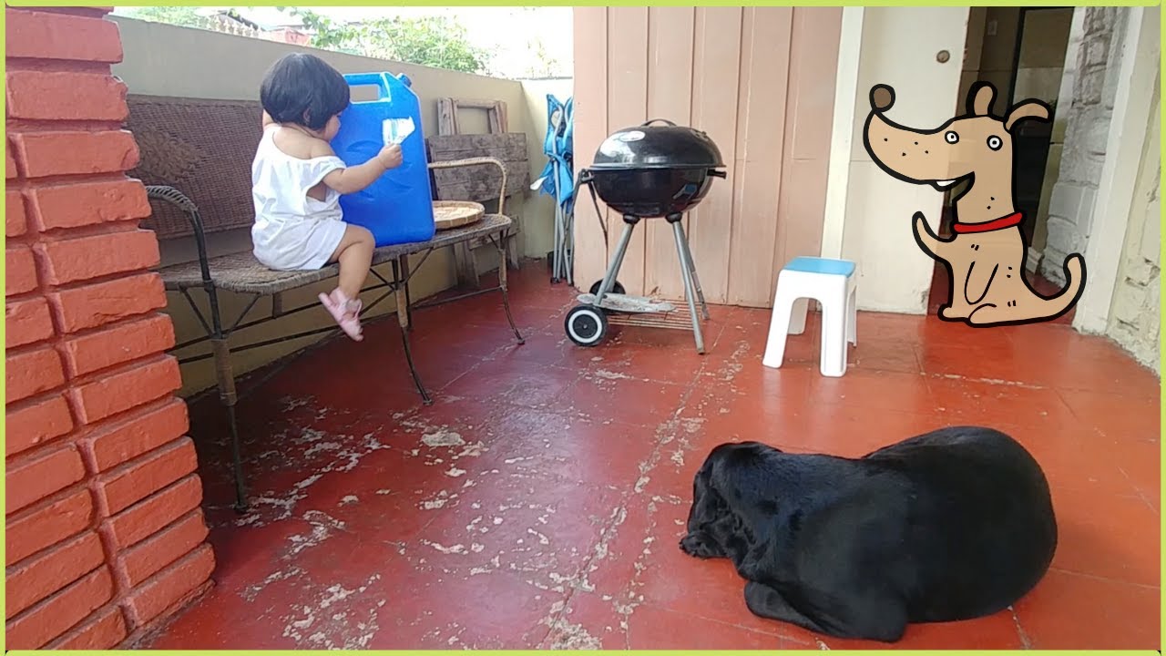 Baby, Dog and Water Jug 😁 YouTube