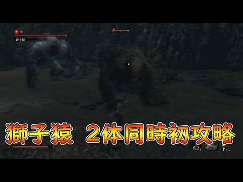 Sekiro 凶悪すぎた獅子猿2体同時初攻略 生放送より せきろう攻略 Youtube