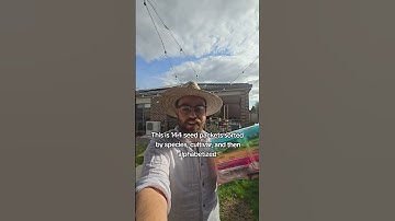 How Experienced Gardeners Store Seed Packets #gardening #seeds #vegetablegarden