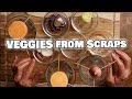 Grow Your Own Veggies from Kitchen Scraps