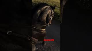Scooter 🛵 to Horse 🐎 Transition! Beat drop check ⚡ #Shorts #Transition #youtubeshorts