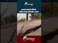 চোখের সামনেই নদীগর্ভে হারিয়ে যাচ্ছে কৃষি জমি ও সড়ক। The Farmers Voice