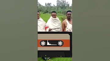 Walaloo Aman Nyafaro Arsii Arsooma Qorsaa 