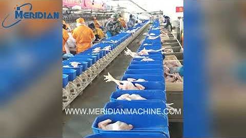 Automated Poultry Processing Line | Industrial Slaughterhouse & Food Machinery