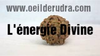 Méditation avec un Oeil de Rudra - Méditer avec un Rudraksha 