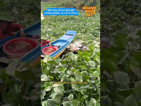 Video tuột xuống kịp - youtube