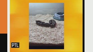 What Ron Smiley did on his summer vacation! Information