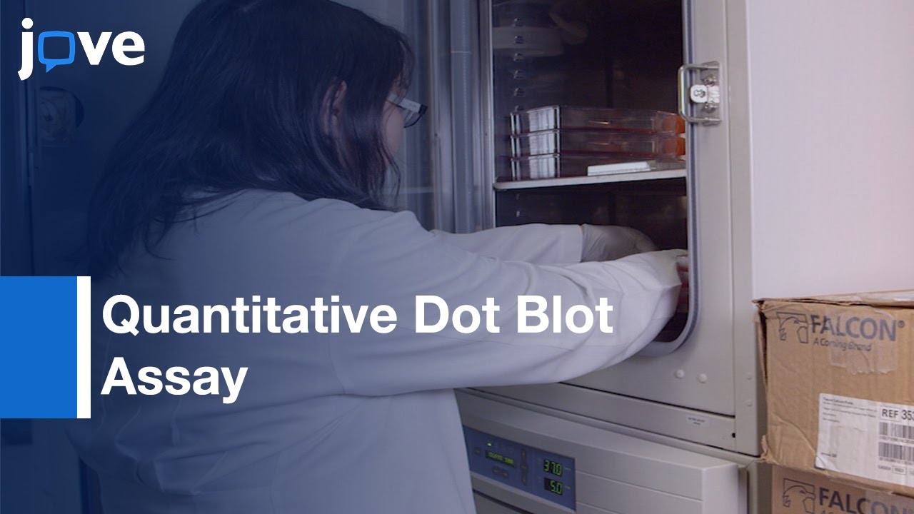 AAV TitrationFunctional Assessment Adeno Virus AssemblyActivating