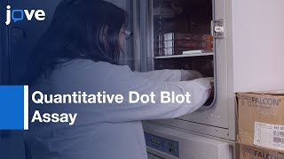 AAV Titration-Functional Assessment: Adeno- Virus Assembly-Activating Proteins l Protocol Preview