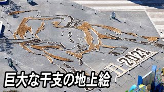 干支の巨大地上絵が登場　ひたち海浜公園